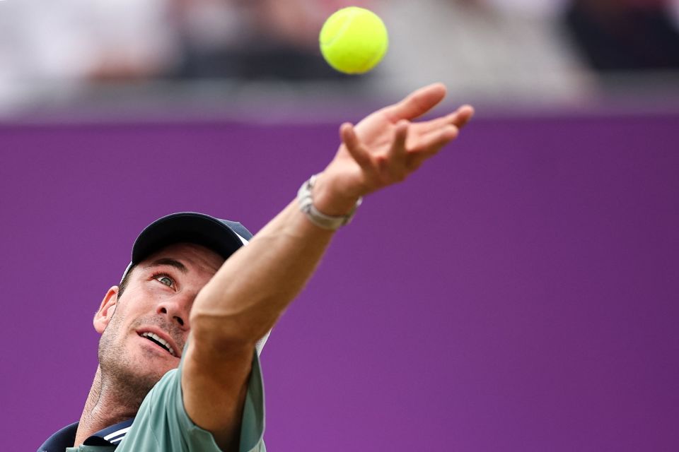 了更多精彩 了更多精彩